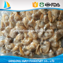 new offer frozen new short necked clam professional seafood supplier